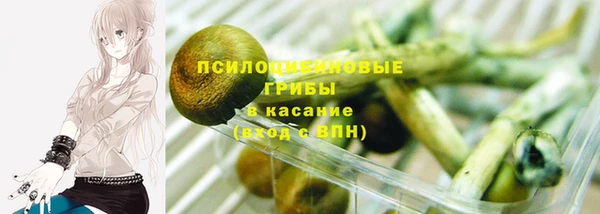 героин Алексин