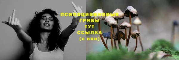 молекула духа Алексеевка