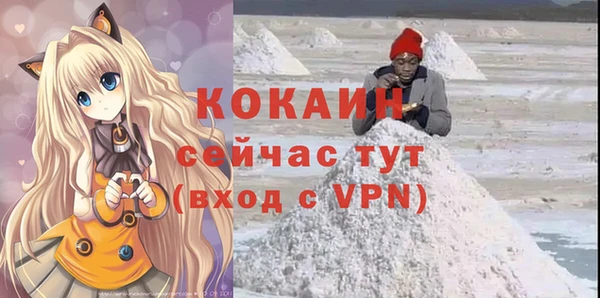 молекула духа Алексеевка