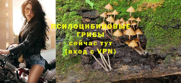 героин Алексин