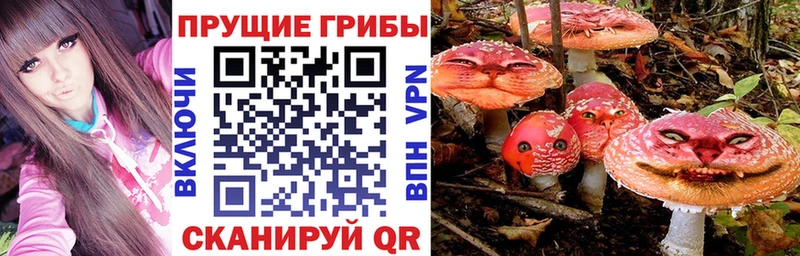 Псилоцибиновые грибы ЛСД Баксан